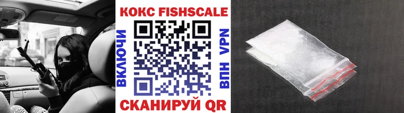 Купить закладки  Озёры  COCAIN Fish Scale 