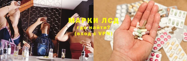крисы Горняк