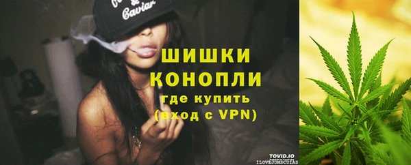 трава Вязьма