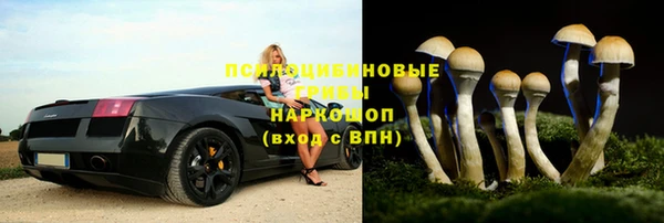 крисы Горняк