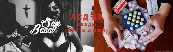 прущий лед Вяземский