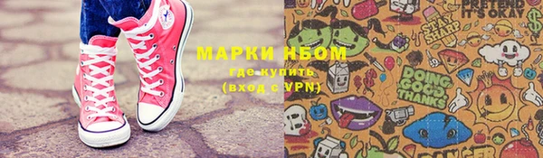 прущий лед Вяземский