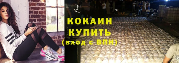 крисы Горняк