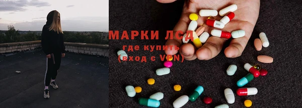 прущий лед Вяземский