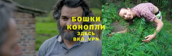 прущий лед Вяземский